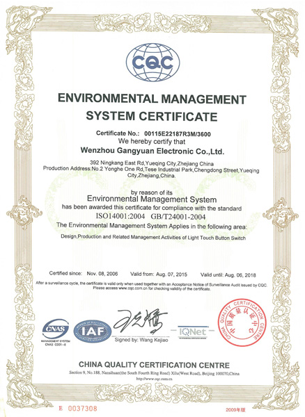 港源英文环境管理体系认证证书